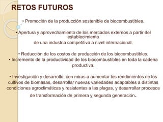 RETOS FUTUROS 
• Promoción de la producción sostenible de biocombustibles. 
• Apertura y aprovechamiento de los mercados externos a partir del 
establecimiento 
de una industria competitiva a nivel internacional. 
• Reducción de los costos de producción de los biocombustibles. 
• Incremento de la productividad de los biocombustibles en toda la cadena 
productiva. 
• Investigación y desarrollo, con miras a aumentar los rendimientos de los 
cultivos de biomasas, desarrollar nuevas variedades adaptables a distintas 
condiciones agroclimáticas y resistentes a las plagas, y desarrollar procesos 
de transformación de primera y segunda generación. 
 