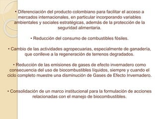 • Diferenciación del producto colombiano para facilitar el acceso a 
mercados internacionales, en particular incorporando variables 
ambientales y sociales estratégicas, además de la protección de la 
seguridad alimentaria. 
• Reducción del consumo de combustibles fósiles. 
• Cambio de las actividades agropecuarias, especialmente de ganadería, 
que conlleve a la regeneración de terrenos degradados. 
• Reducción de las emisiones de gases de efecto invernadero como 
consecuencia del uso de biocombustibles líquidos, siempre y cuando el 
ciclo completo muestre una disminución de Gases de Efecto Invernadero. 
• Consolidación de un marco institucional para la formulación de acciones 
relacionadas con el manejo de biocombustibles. 
 