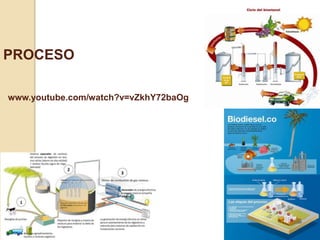 PROCESO 
www.youtube.com/watch?v=vZkhY72baOg 
 