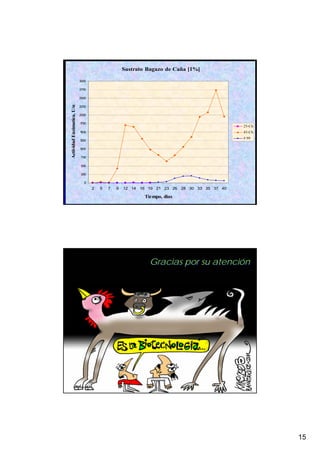 Sustrato Bagazo de Caña [1%]

                            3000

                            2750

                            2500
Actividad Enzimatica, U/m




                            2250

                            2000

                            1750
                                                                                            25-Ch
                            1500                                                            45-Ch
                                                                                            # 99
                            1250

                            1000

                            750

                            500

                            250

                              0
                                   2   5   7   9   12 14 16 19 21 23 26 28 30 33 35 37 40

                                                           Tiempo, dias




                                                             Gracias por su atención




                                                                                                    15
 