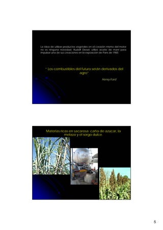 La idea de utilizar productos vegetales en el corazón mismo del motor
no es ninguna novedad. Rudolf Diesel, utilizó aceite de maní para
impulsar una de sus creaciones en la exposición de París de 1900.




   “ Los combustibles del futuro serán derivados del
                        agro”
                                                 Henry Ford




    Materias ricas en sacarosa: caña de azúcar, la
                melaza y el sorgo dulce.




                                                                        5
 