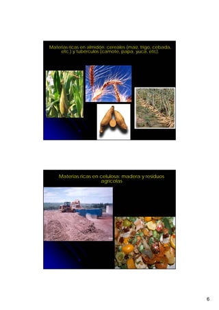 Materias ricas en almidón: cereales (maíz, trigo, cebada,
    etc.) y tubérculos (camote, papa, yuca, etc).




    Materias ricas en celulosa: madera y residuos
                      agrícolas




                                                            6
 