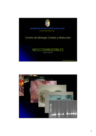 UNIVERSIDAD TÉCNICA PARTICULAR DE LOJA
              La Universidad Católica de Loja




Centro de Biología Celular y Molecular




      BIOCOMBUSTIBLES
                      Fabián Carrión M




                                                fhcarrion@utpl.edu.ec




                                                                        1
 