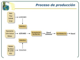 Proceso de producción
 