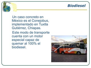 Biodiesel


Un caso concreto en
México es el Conejobus,
implementado en Tuxtla
Gutiérrez, Chiapas.
Este modo de transporte
cuenta con un motor
especial capaz de
quemar al 100% el
biodiesel.
 