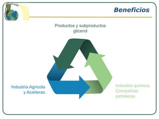 Beneficios

                     Productos y subproductos
                             glicerol




Industria Agricola                              Industria química,
      y Aceiteras                               Compañías
                                                petroleras
 