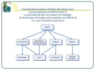 Considerando el poder calorífico del metano puro
         aproximadamente de 8843 Kcal/m3 y
     un promedio de 60% de metano en el biogás,
el rendimiento del biogás sería alrededor de 5300 Kcal
           / m3, que se puede ocupar para:
 