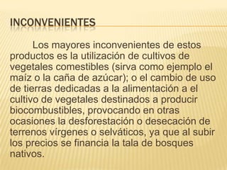 INCONVENIENTES
      Los mayores inconvenientes de estos
productos es la utilización de cultivos de
vegetales comestibles (sirva como ejemplo el
maíz o la caña de azúcar); o el cambio de uso
de tierras dedicadas a la alimentación a el
cultivo de vegetales destinados a producir
biocombustibles, provocando en otras
ocasiones la desforestación o desecación de
terrenos vírgenes o selváticos, ya que al subir
los precios se financia la tala de bosques
nativos.
 