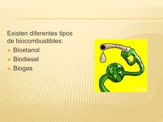 Existen diferentes tipos
de biocombustibles:
 Bioetanol

 Biodiesel

 Biogas
 