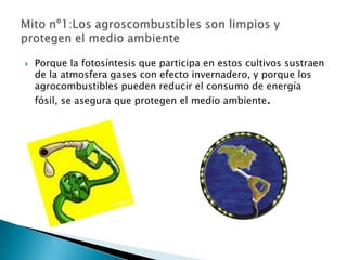   Porque la fotosíntesis que participa en estos cultivos sustraen
    de la atmosfera gases con efecto invernadero, y porque los
    agrocombustibles pueden reducir el consumo de energía
    fósil, se asegura que protegen el medio ambiente.
 