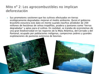   Sus promotores sostienen que los cultivos efectuados en tierras
    ecológicamente degradadas mejoran el medio ambiente. Quizá el gobierno
    brasileño estuviera este dato en mente cuando clasifico alrededor de 200
    millones de hectáreas de selvas tropófilas, pradera y pantanos como “tierras
    degradadas” y aptas para el cultivo. En realidad, se trataba de ecosistemas de
    una gran biodiversidad en las regiones de la Mata Atlántica, del Cerrado y del
    Pantanal, ocupado por poblaciones indígenas, campesinos pobres y grandes
    explotaciones de pastoreo extensivo de bovinos.
 