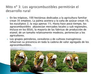    En los trópicos, 100 hectáreas dedicadas a la agricultura familiar
    crean 35 empleos. La palma aceitera y la caña de azúcar crean 10,
    los eucaliptos 2, la soja apenas 1½. Hasta hace poco tiempo, los
    agrocombustibles abastecían mercados locales y sub regionales.
    Incluso en los EEUU, la mayoría de las fabricas de producción de
    etanol, de un tamaño relativamente modesto, pertenecían a los
    agricultores.
   Los grupos petroleros, cerealeros y de cultivos transgénicos
    refuerzan su presencia en toda la cadena de valor agregado de los
    agrocombustibles.
 