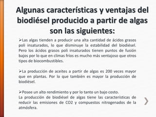 Algunas características y ventajas del
biodiésel producido a partir de algas
son las siguientes:
Las algas tienden a producir una alta cantidad de ácidos grasos
poli insaturados, lo que disminuye la estabilidad del biodiésel.
Pero los ácidos grasos poli insaturados tienen puntos de fusión
bajos por lo que en climas fríos es mucho más ventajoso que otros
tipos de biocombustibles.
La producción de aceites a partir de algas es 200 veces mayor
que en plantas. Por lo que también es mayor la producción de
biodiésel.
Posee un alto rendimiento y por lo tanto un bajo costo.
La producción de biodiésel de algas tiene las características de
reducir las emisiones de CO2 y compuestos nitrogenados de la
atmósfera.
 