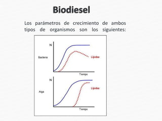 Los parámetros de crecimiento de ambos
tipos de organismos son los siguientes:
 