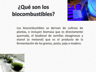 Los biocombustibles se derivan de cultivos de
plantas, e incluyen biomasa que es directamente
quemada, el biodiesel de semillas oleaginosas y
etanol (o metanol) que es el producto de la
fermentación de los granos, pasto, paja o madera.
 