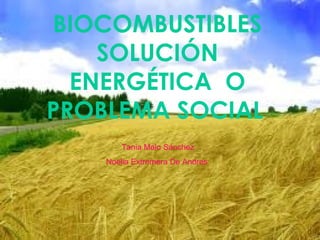 BIOCOMBUSTIBLES
SOLUCIÓN
ENERGÉTICA O
PROBLEMA SOCIAL
Tania Malo Sánchez
Noelia Extremera De Andres
 