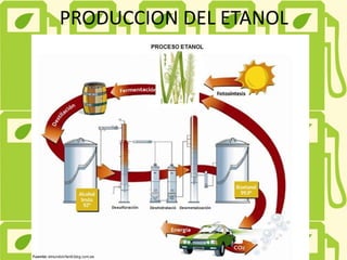 PRODUCCION DEL ETANOL
 
