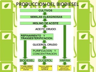 PRODUCCION DEL BIODIESEL
 
