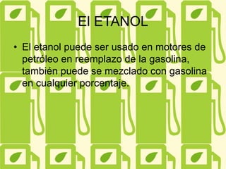 El ETANOL
• El etanol puede ser usado en motores de
petróleo en reemplazo de la gasolina,
también puede se mezclado con gasolina
en cualquier porcentaje.
 
