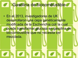 Gasolina de biocombustible
• En el 2013, investigadores de UK
desarrollaron una cepa genéticamente
modificada de la Escherichia coli la cual
puede transformar glucosa en gasolina de
biocombustible que no necesita ser
mezclada.
 