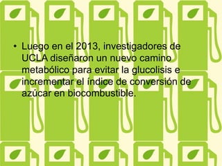 • Luego en el 2013, investigadores de
UCLA diseñaron un nuevo camino
metabólico para evitar la glucolisis e
incrementar el índice de conversión de
azúcar en biocombustible.
 