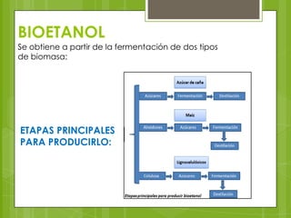 BIOETANOL
Se obtiene a partir de la fermentación de dos tipos
de biomasa:

ETAPAS PRINCIPALES
PARA PRODUCIRLO:

 