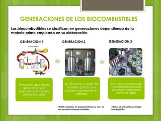 GENERACIONES DE LOS BIOCOMBUSTIBLES
Los biocombustibles se clasifican en generaciones dependiendo de la
materia prima empleada en su elaboración.
GENERACION 1

Provienen de cultivos
alimenticios y se
procesan por medios
convencionales.

GENERACION 2

GENERACION 3

Se elaboran a partir de
materias primas que
pueden convertirse en
celulosa.

Esta es la que pretende
crear bioetanol a partir
de cultivos específicos,
como las algas.

NOTA: métodos en experimentación y aun no
son económicamente rentables.

NOTA: se encuentra en etapa
investigación.

 