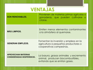 VENTAJAS
SON RENOVABLES.

Provienen de materias primas agrícolas o
ganaderas, que pueden cultivarse o
criarse.

MÁS LIMPIOS.

Emiten menos elementos contaminantes
a la atmósfera al quemarse.

GENERAN EMPLEOS.

APROVECHAN MATERIAS
CONSIDERADAS DESPERDICIO.

Fomentan la inversión y empleos en la
agricultura a pequeños productores o
cooperativas campesinas.

La basura, grasas animales y excremento
animal, producen biocombustibles,
evitando que se emitan gases.

 