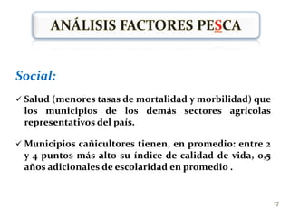 LEY 939 DE 2004 (Diciembre 31)Se estimula la producción y comercialización de biocombustibles de origen vegetal o animal para uso en Motores diesel.Se exenta la renta líquida generada por el aprovechamiento de nuevos cultivos de tardío rendimiento en cacao, caucho, palma de aceite, cítricos, y frutales. La vigencia de la exención se aplicará dentro de los diez (10) años siguientes a la promulgación de la  ley.9
