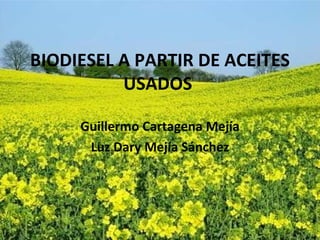 BIODIESEL A PARTIR DE ACEITES USADOS  Guillermo Cartagena Mejía Luz Dary Mejía Sánchez 