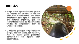 BIOGÁS
• Biogás é um tipo de mistura gasosa
de dióxido de carbono e metano
produzida naturalmente em meio
anaeróbico pela ação de bactérias
em matérias orgânicas, que são
fermentadas dentro de determinados
limites de temperatura, teor de
umidade e acidez.
• O metano, principal componente do
biogás, não tem cheiro, cor ou sabor,
mas os outros gases presentes
conferem-lhe um ligeiro odor
desagradável.
 