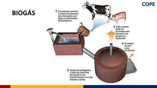 BIOGÁS
 