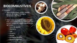 BIOCOMBUSTÍVEIS
• Conceito
• Todo combustível sólido, líquido,
gasoso de origem biológica
renovável, não fóssil.
• Todo material orgânico gera energia,
mas o biocombustível é fabricado em
escala comercial a partir de produtos
agrícolas:
• Cana-de-açúcar
• Mamona
• Soja
• Girassol
• Dendê
• Biomassa florestal
• Resíduo orgânico
 