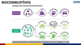 BIOCOMBUSTÍVEIS
 