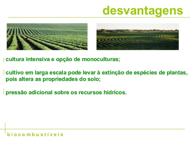 Vantagens E Desvantagens Dos Biocombustíveis - ASKBRAIN