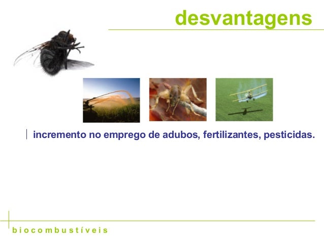 Vantagens E Desvantagens Dos Biocombustíveis - ASKBRAIN