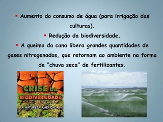 O cultivo de vegetais em larga escala, pode levar à extinção de muitas espécies de plantas, porque esta forma de plantio altera as propriedades do solo. Aumento do consumo de água (para irrigação das culturas).