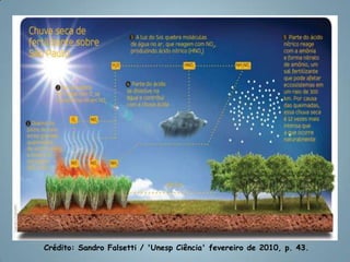  Redução da biodiversidade.