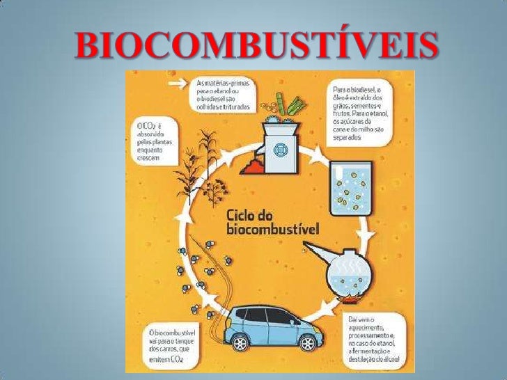 O Que Se Caracteriza Como Biocombustível – EMWGH