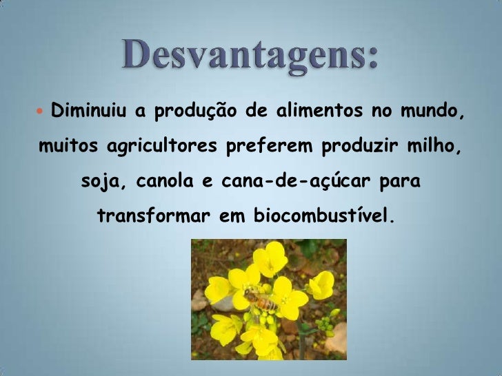 Vantagens E Desvantagens Dos Biocombustíveis - ASKBRAIN
