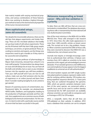 10
lular matrix) models with varying mechanical prop-
erties, and various combinations of these features.
We're now working to develop a high(er)-through-
put method to look at the biomechanical properties
of the tumor microenvironment.”
More sophisticated setups,
same old scoundrels
Yet, despite the innumerable advances, there are the
old foes that plague experiments and hinder find-
ings. These are the microbial saboteurs that boldly
set up shop inside of cell culture experiments. These
are the ill-trained staff that don’t fully grasp aseptic
technique, cut corners, or ignore protocol. These, ac-
cording to scientists and experts, are the things new
researchers need to get a handle on if they want to
be successful and competitive.
Sokol Todi, associate professor of pharmacology at
Wayne State University, stressed how critical it is to
train staff properly:“Contamination has always been
an issue and will always be an issue. You can have all
the bells and whistles, but as soon as you introduce
humans into the equation you will have problems.
Train your staff yourself and if you are new to cell
culture, make sure you find someone who has lots
of experience or an online journal and learn from
them.”Consider reading Geraghty RJ, et al.’s article to
get started.1
Beware of surprising sources of contamination, too.
Fluorescent lights, for example, can photoactivate
HEPES buffer, riboflavin, and tryptophan, leading to
the production of hydrogen peroxide and free radi-
cals. Sera supplements are a common source of both
biological and chemical contamination. For this rea-
son, it is best to stick with a particular source and lot
of serum that has been successful in the past.
Melanoma masquerading as breast
cancer—Why cell-line validation is
a priority
To date, there are 488 cell lines that are cross-con-
taminated or misidentified.The database document-
ing these cells is maintained by the International Cell
Line Authentication Committee.
One of the most notorious is the MDA-435 (or MDA-
MB-435) line. These cells emerged in lab research
in 1975. Since then, the cells made appearances in
more than 1,000 scientific articles as breast cancer
cells. This turned out to be a big problem, howev-
er. When scientists examined the DNA of these cells,
they were stunned to discover that MDA-435 was a
melanoma line, not a breast cancer line.
Journals now require, or strongly encourage, scien-
tists to authenticate their cell lines. A Nature com-
mentary from 2015 called on scientists to be more
proactive in this regard, yet acknowledged common
obstacles:“If we exclude ignorance and indifference,
cost and simplicity of assays appear to be the biggest
roadblocks to universal use of cell authentication.”2
STR (short-tandem repeat) and SNP (single nucleo-
tide polymorphism) analyses represent viable meth-
ods for verifying cell-line identity. STR involves ana-
lyzing repetitive sequence elements, 3–7 base pairs
long, that are scattered throughout the genome.
SNPs, which are genetic variations between mem-
bers of the same species, are conserved within a
specific locus and can be used to confirm identity.
Commercial kits for SNP assessment are available,
whereas scientists can send cells to companies such
as Promega or ATCC for STR analysis.
ATCC, a nonprofit, claims that all cell lines are
STR-validated on their website. In addition, ATCC
touts a database that scientists can use to compare
 