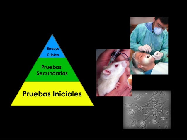 Duele la oreja la psoriasis
