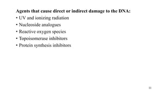 Agents that cause direct or indirect damage to the DNA:
• UV and ionizing radiation
• Nucleoside analogues
• Reactive oxygen species
• Topoisomerase inhibitors
• Protein synthesis inhibitors
11
 
