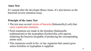 Ames Test
It’s named after the developer Bruce Ames. It’s also known as the
bacterial reverse mutation assay.
Principle of the Ames Test
• The test uses several strains of bacteria (Salmonella,E.coli) that
carry a particular mutation.
• Point mutations are made in the histidine (Salmonella
typhimurium) or the tryptophan (Escherichia coli) operon,
rendering the bacteria incapable of producing the corresponding
amino acid.
• This mutations result in his- or trp- organism that cannot grow
unless histidine or tryptophan is supplied.
13
 
