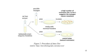 Figure 2 :Procedure of Ames Test
source: https://microbiologyinfo.com/ames-test/
15
 