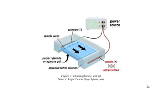 Figure 3: Electrophoresis circuit
Source: https://www.biotechfront.com
22
 