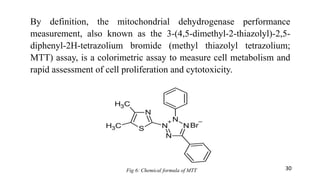By definition, the mitochondrial dehydrogenase performance
measurement, also known as the 3-(4,5-dimethyl-2-thiazolyl)-2,5-
diphenyl-2H-tetrazolium bromide (methyl thiazolyl tetrazolium;
MTT) assay, is a colorimetric assay to measure cell metabolism and
rapid assessment of cell proliferation and cytotoxicity.
Fig 6: Chemical formula of MTT 30
 