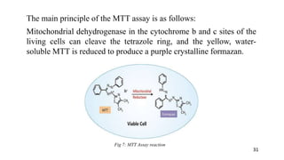 The main principle of the MTT assay is as follows:
Mitochondrial dehydrogenase in the cytochrome b and c sites of the
living cells can cleave the tetrazole ring, and the yellow, water-
soluble MTT is reduced to produce a purple crystalline formazan.
Fig 7: MTT Assay reaction
31
 
