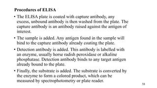 Procedures of ELISA
• The ELISA plate is coated with capture antibody, any
excess, unbound antibody is then washed from the plate. The
capture antibody is an antibody raised against the antigen of
interest.
• The sample is added. Any antigen found in the sample will
bind to the capture antibody already coating the plate.
• Detection antibody is added. This antibody is labelled with
an enzyme, usually horse radish peroxidase or alkaline
phosphatase. Detection antibody binds to any target antigen
already bound to the plate.
• Finally, the substrate is added. The substrate is converted by
the enzyme to form a colored product, which can be
measured by spectrophotometry or plate reader.
58
 