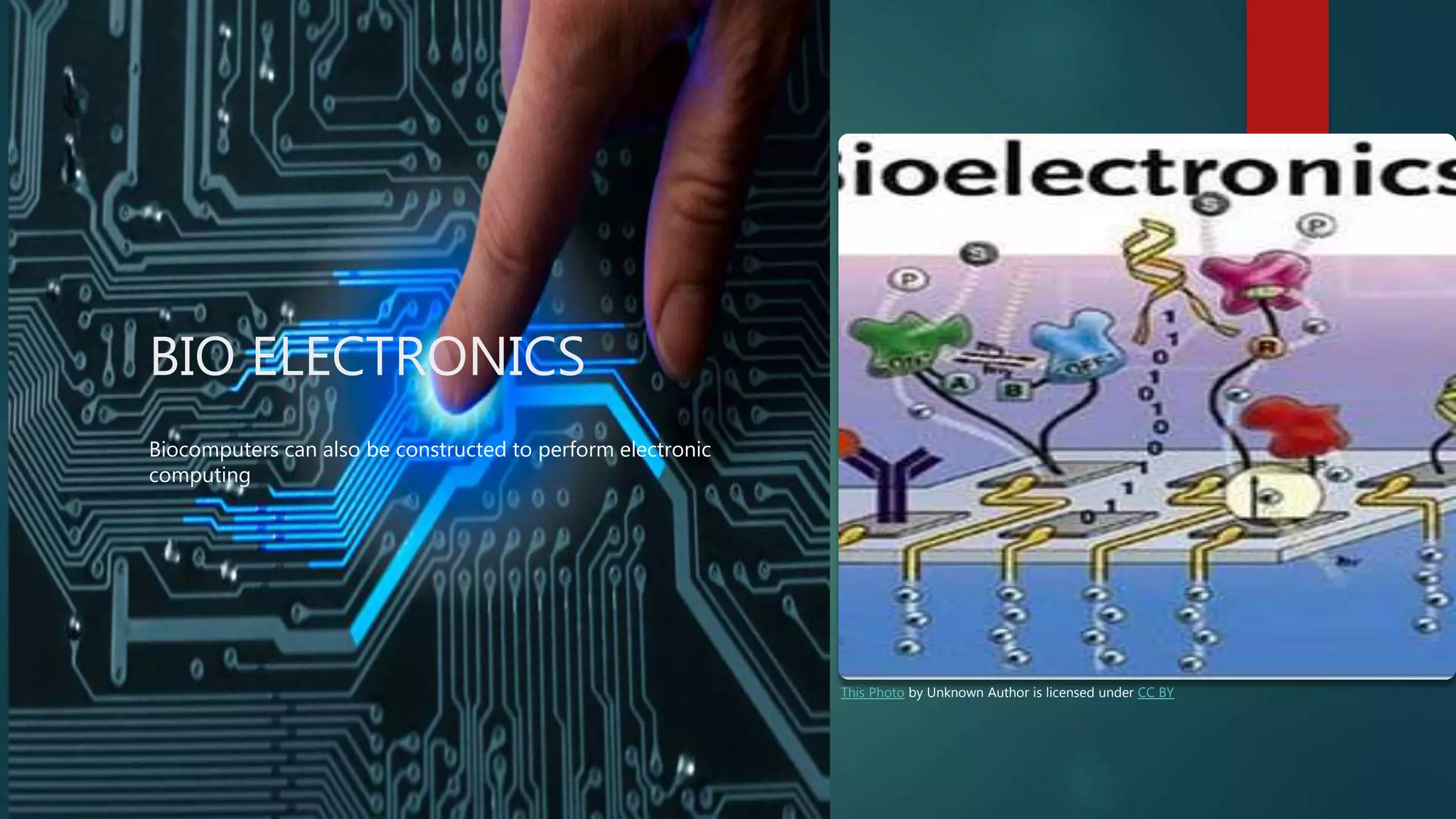 BIO ELECTRONICS
Biocomputers can also be constructed to perform electronic
computing
This Photo by Unknown Author is licensed under CC BY
 